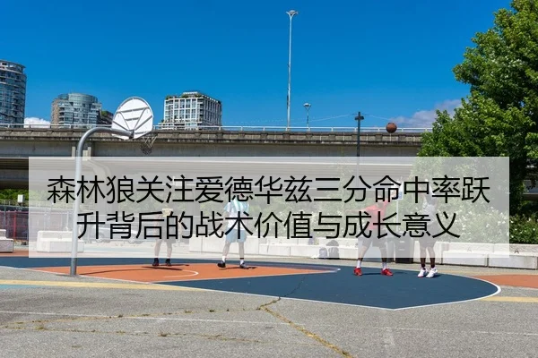 森林狼关注爱德华兹三分命中率跃升背后的战术价值与成长意义