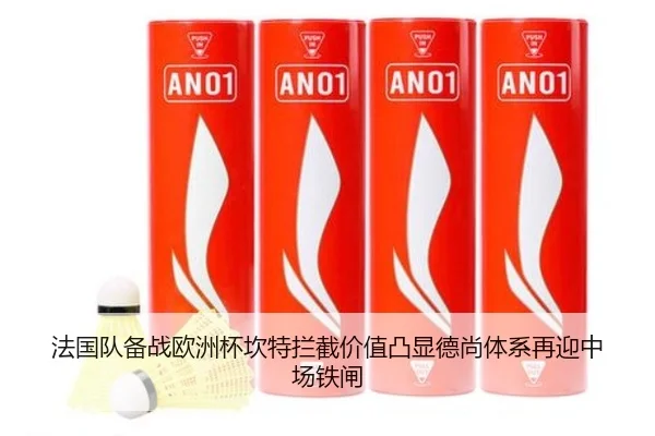 法国队备战欧洲杯坎特拦截价值凸显德尚体系再迎中场铁闸